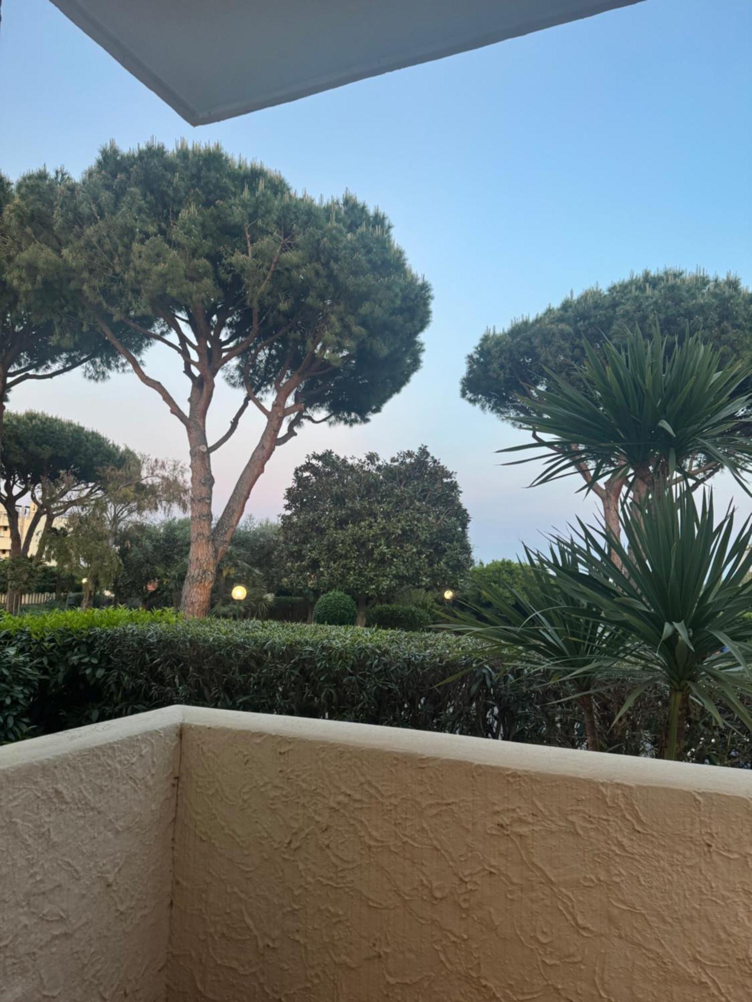 La Luna e il faló Ceriale Esterno foto